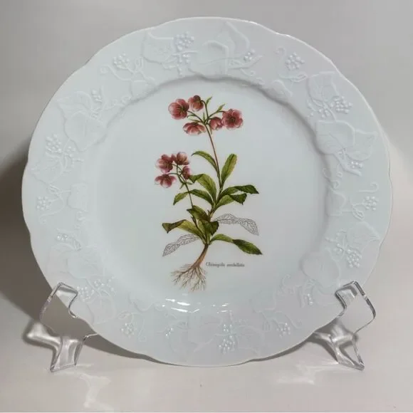 Vintage Dansk Ivy Chimapila Umbellata  9 3/4 " Luncheon Plate - Picture 3 of 5